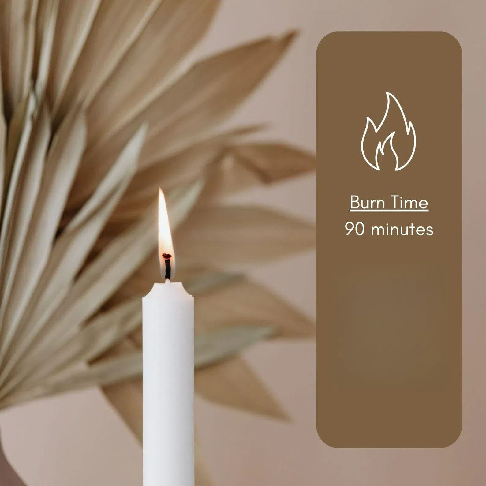Set of 31 White Spell& Chime - Premium Mini Taper Candles for Rituals, Prayer, Birthdays, Meditation, Altar- 10.16 cm Tall, Unscented(White)
