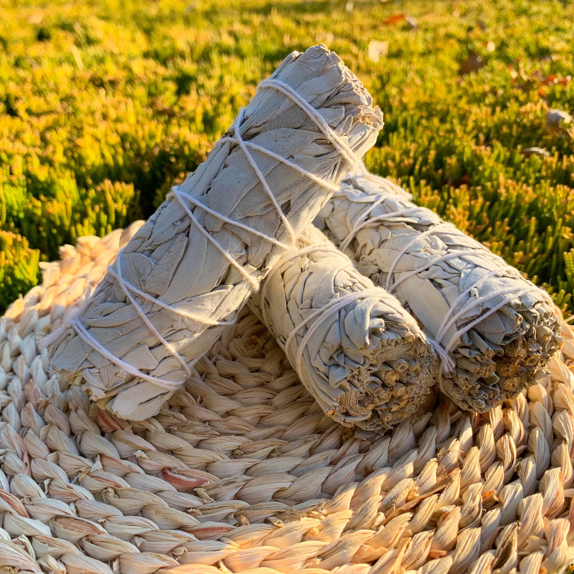 1/2/3pcs Natural White Sage Smudge Sticks