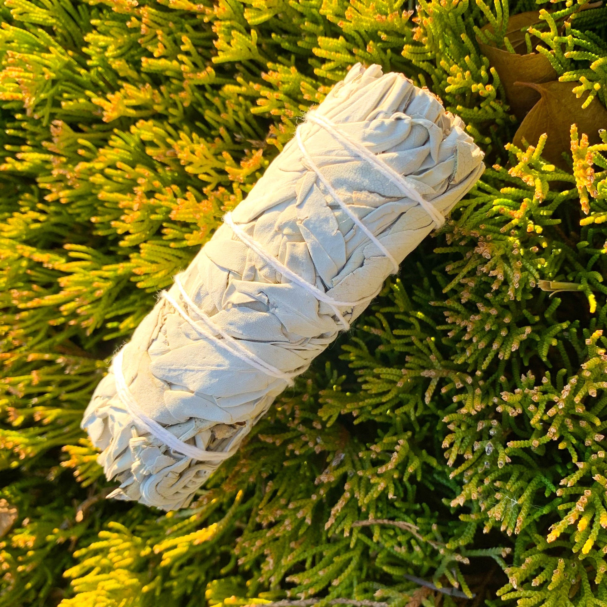 1/2/3pcs Natural White Sage Smudge Sticks