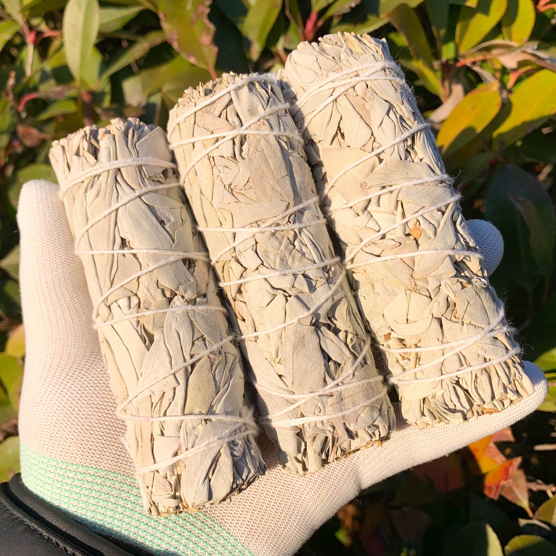 1/2/3pcs Natural White Sage Smudge Sticks