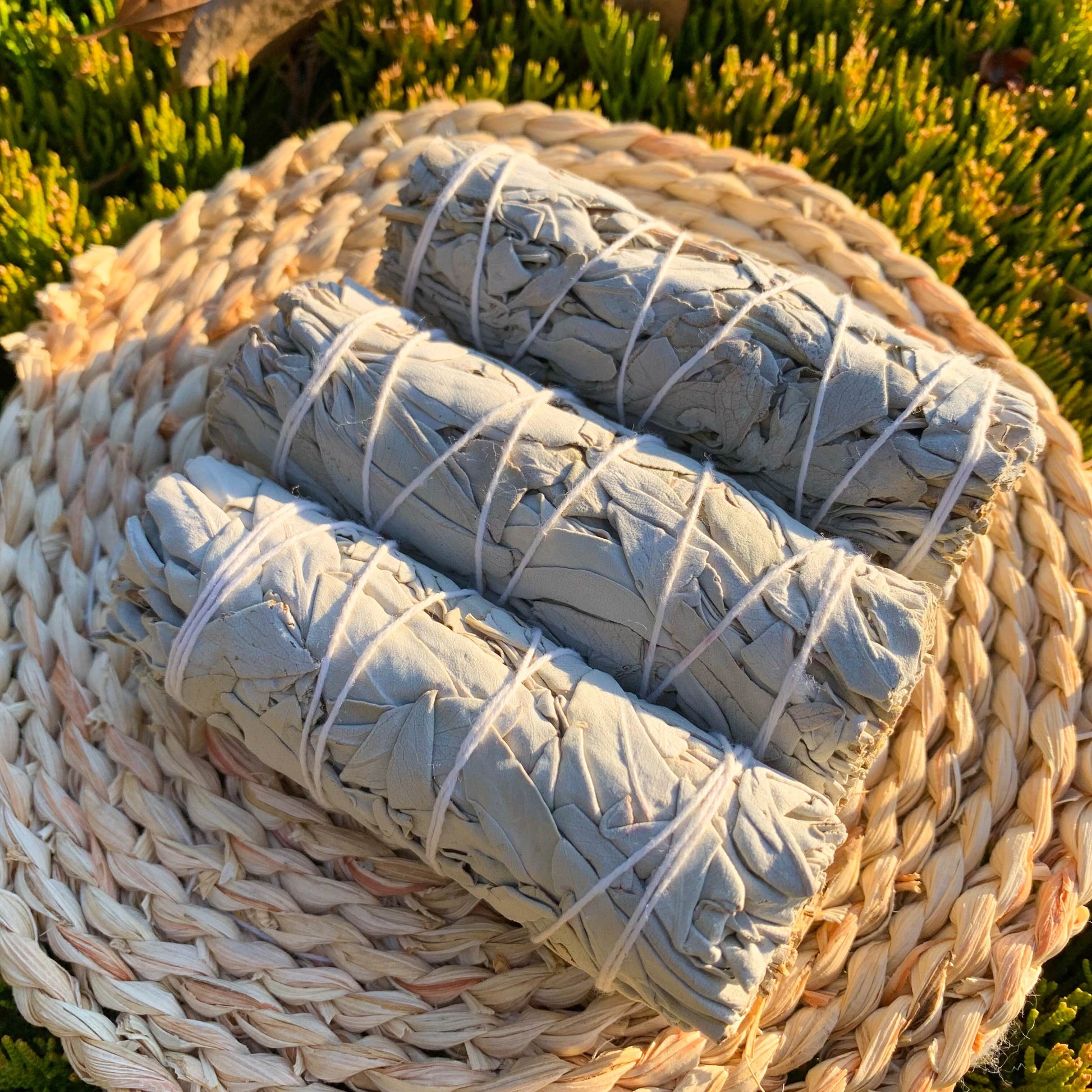 1/2/3pcs Natural White Sage Smudge Sticks