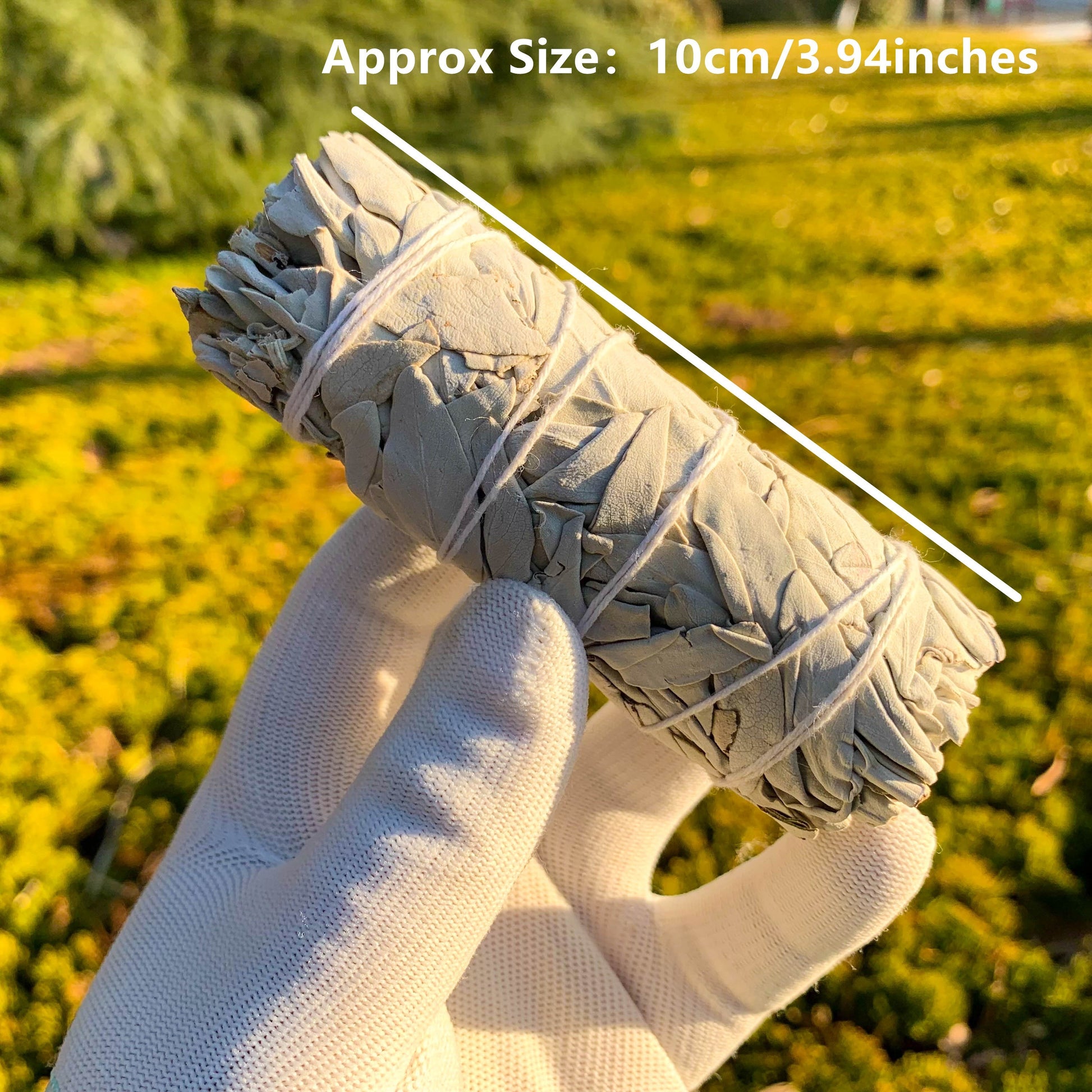 1/2/3pcs Natural White Sage Smudge Sticks