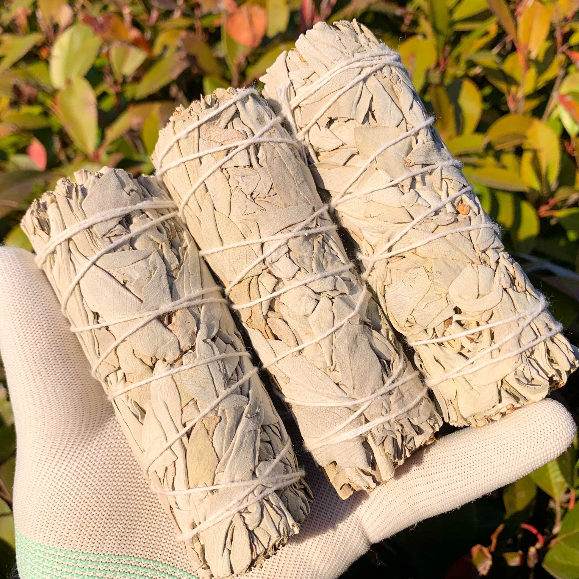 1/2/3pcs Natural White Sage Smudge Sticks