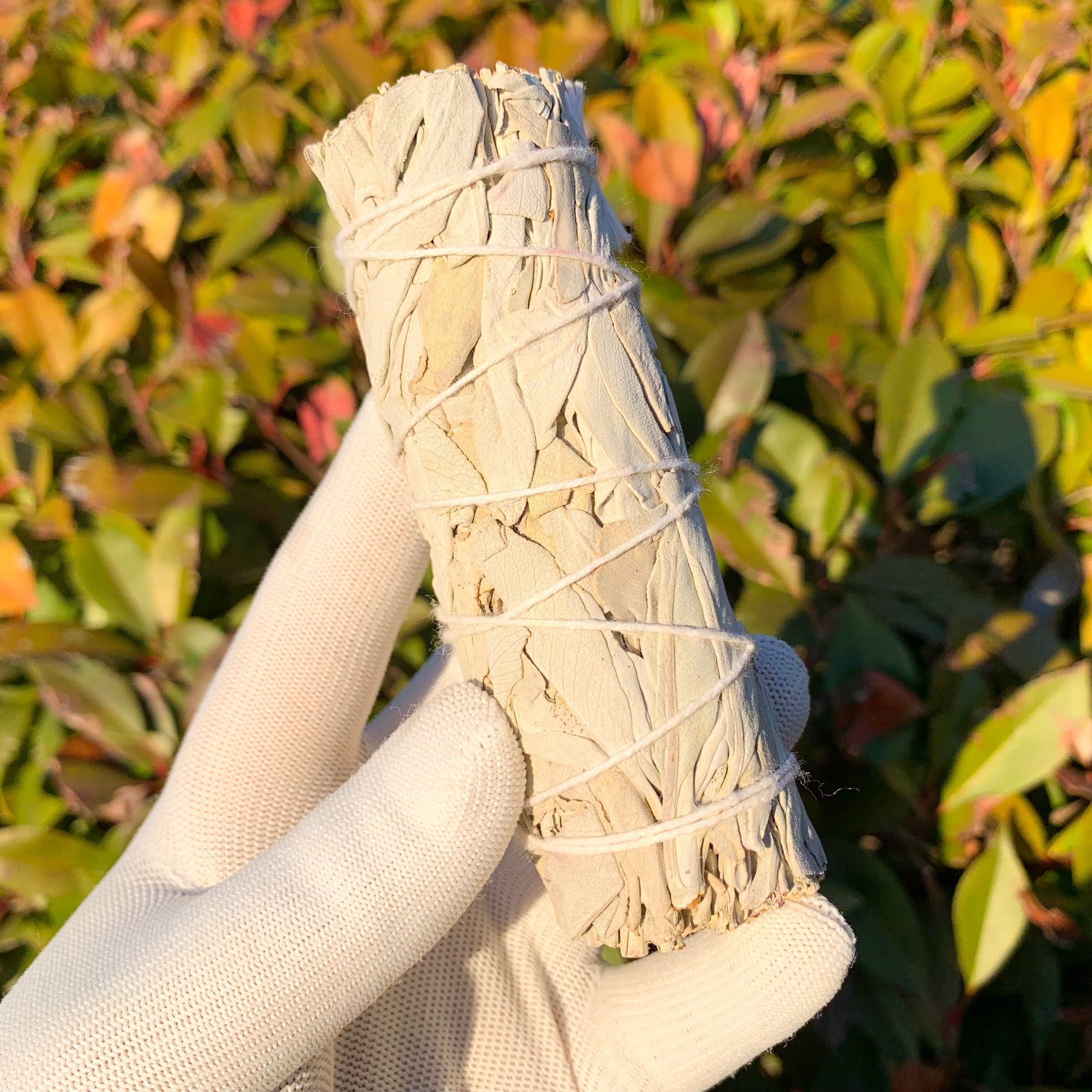 1/2/3pcs Natural White Sage Smudge Sticks