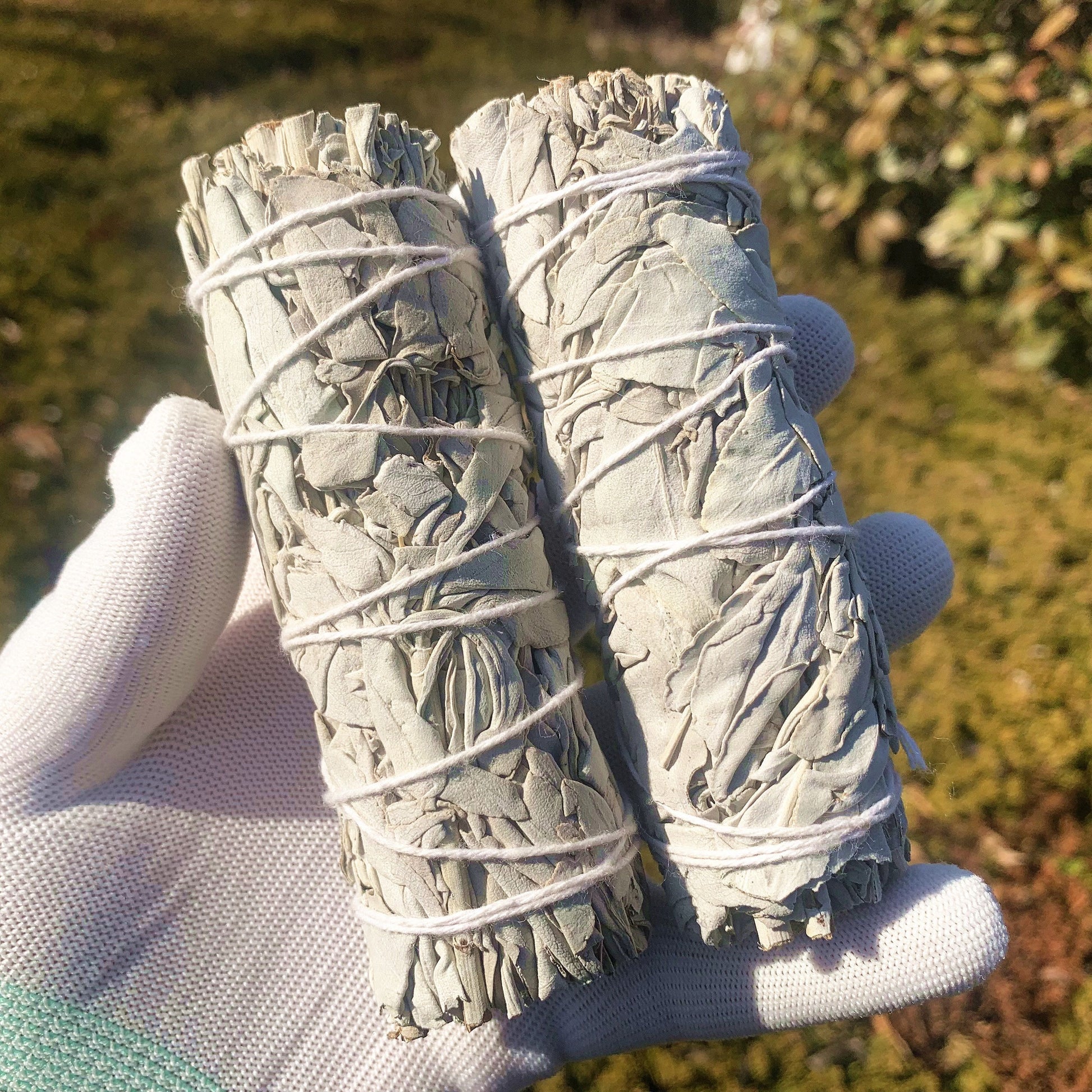 1/2/3pcs Natural White Sage Smudge Sticks
