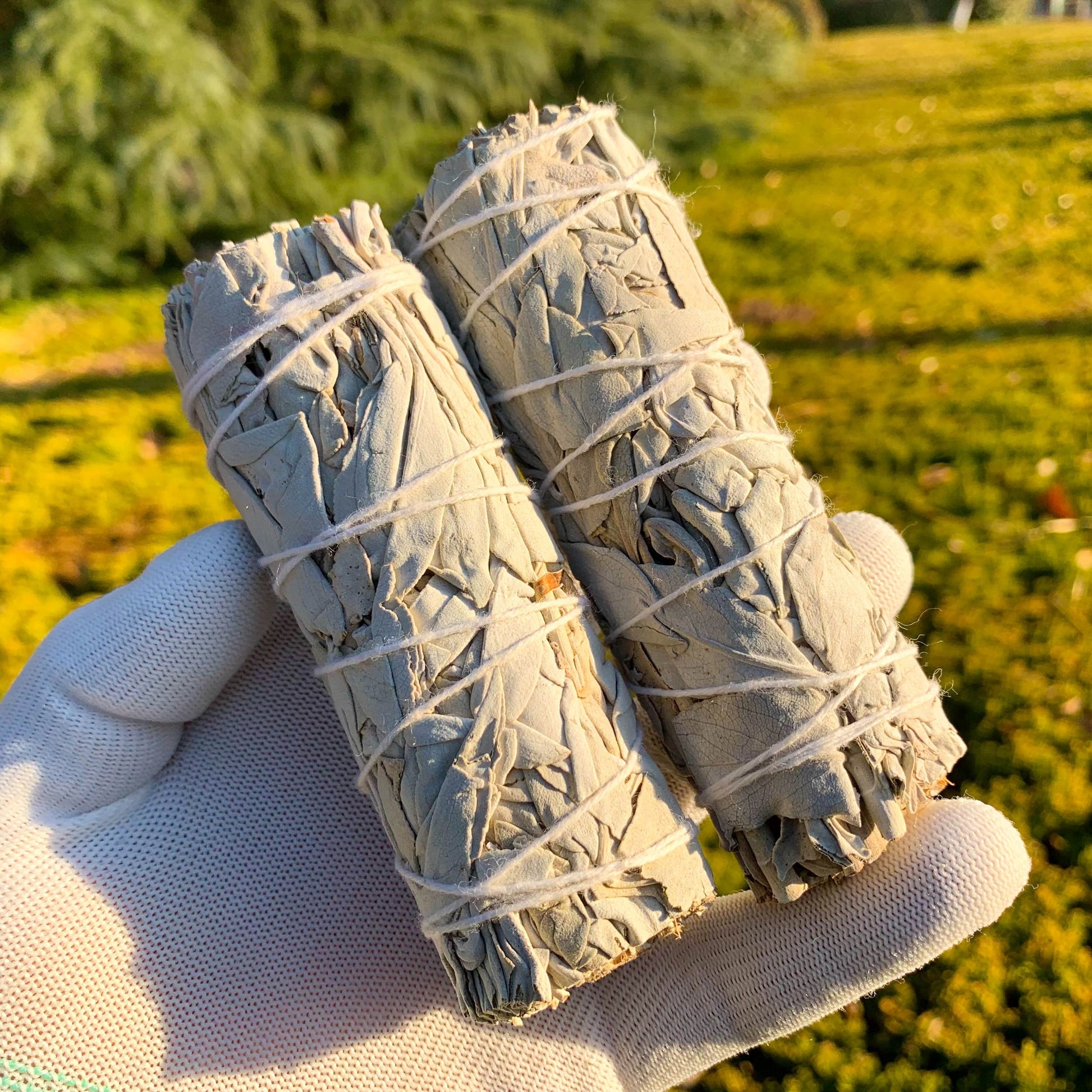 1/2/3pcs Natural White Sage Smudge Sticks