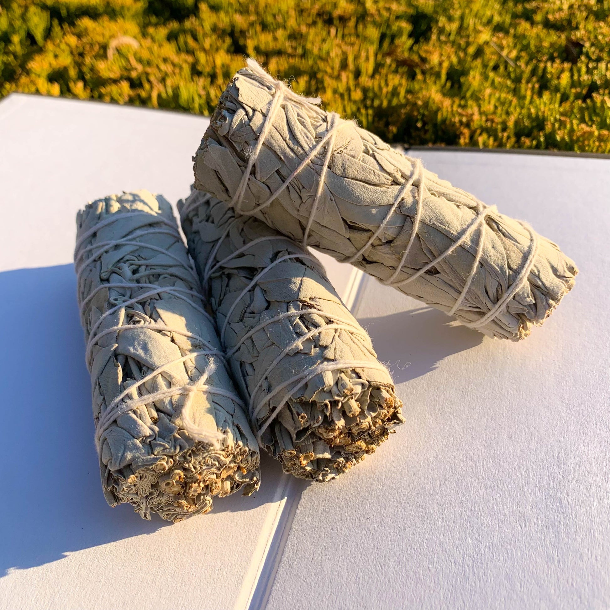 1/2/3pcs Natural White Sage Smudge Sticks