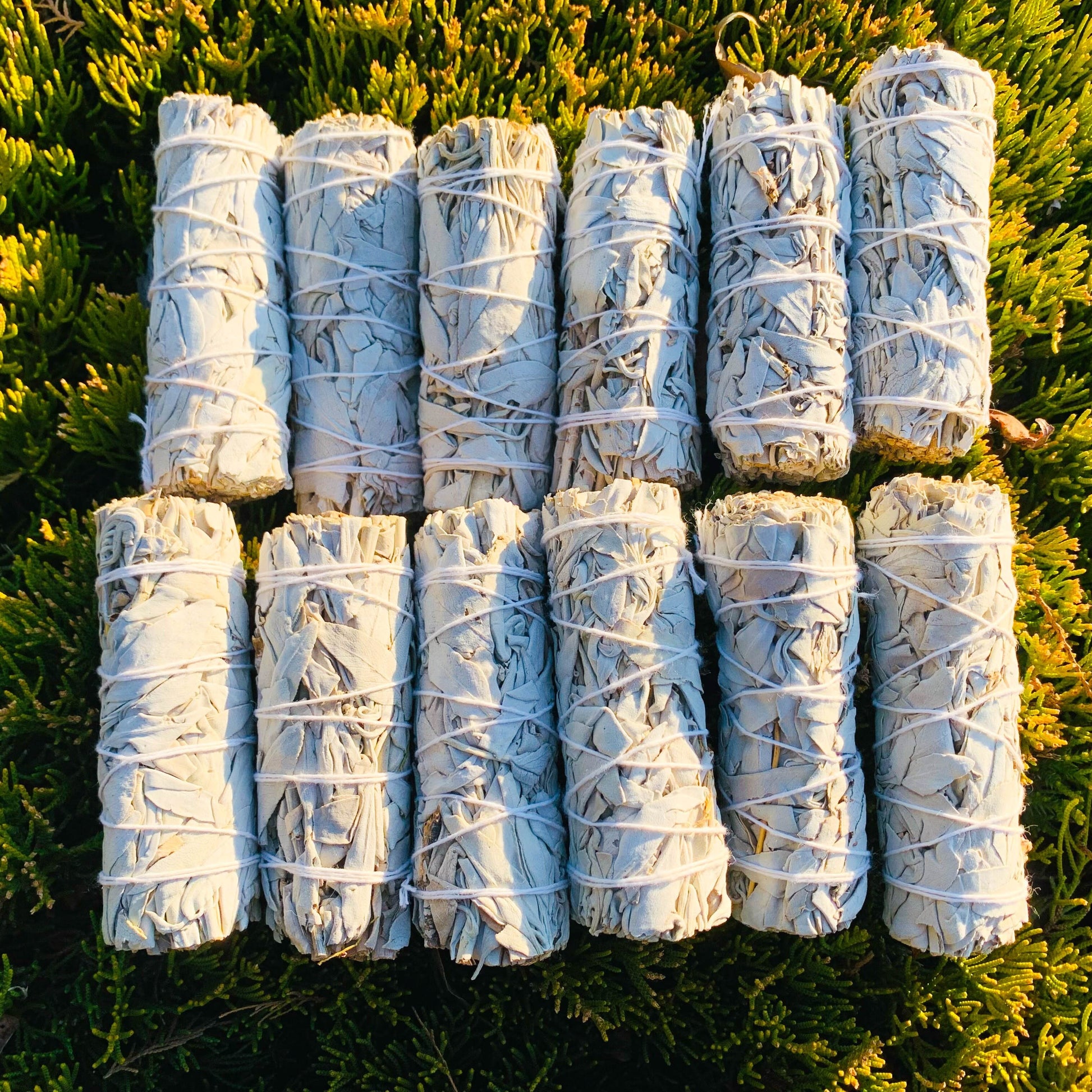 1/2/3pcs Natural White Sage Smudge Sticks