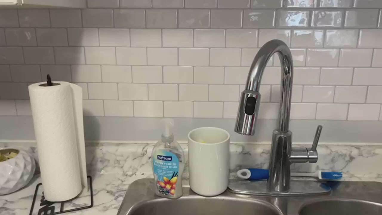 1 Set Black Double Soap Dispenser with Sponge Holder And Dish Brush for Kitchen Sink Countertop, Freestanding Plastic, Phthalate-Free, No Electricity Needed